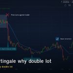 forex martingale why double lot after loss dangerous strategy
