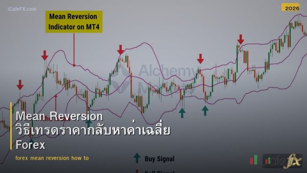 Mean Reversion วิธีเทรดราคากลับหาค่าเฉลี่ย Forex