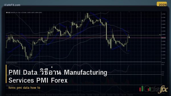PMI Data วิธีอ่าน Manufacturing Services PMI Forex