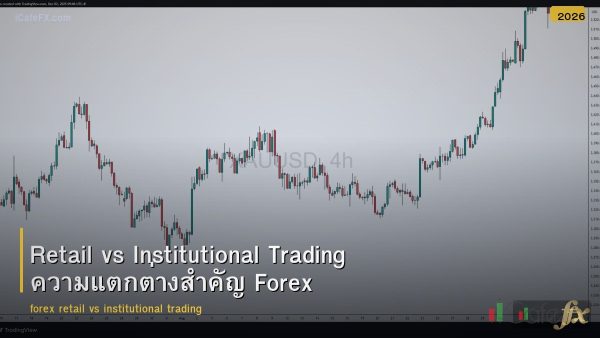 Retail vs Institutional Trading ความแตกต่างสำคัญ Forex