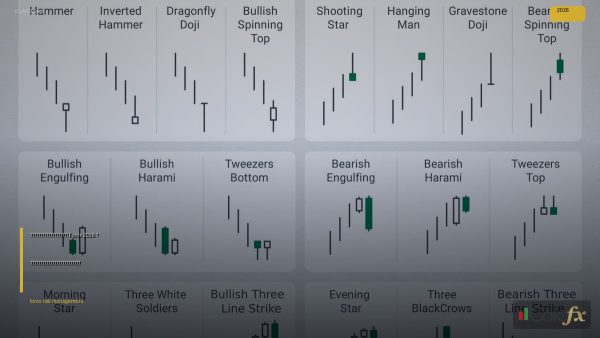 การบริหารความเสี่ยง Forex 2026 — เทคนิคที่เทรดเดอร์มืออาชี