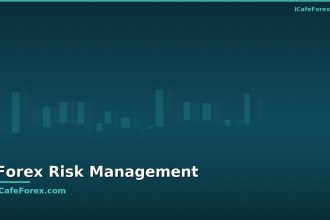 forex trading risk management beginner guide prevention cover v2 1