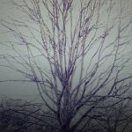 fx28 dashboard v79 ea cover 1