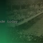 gold trade today cover 1