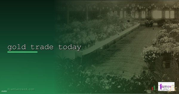 (Update) EA Gold Trade Ultimate Turbo By IcafeFX v1.6.6 [202