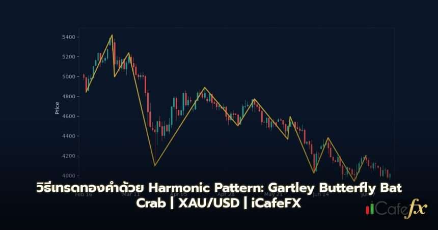 ภาพปก Harmonic Pattern เทรดทองคำ Gartley Butterfly Bat Crab - กราฟเทคนิค iCafeForex