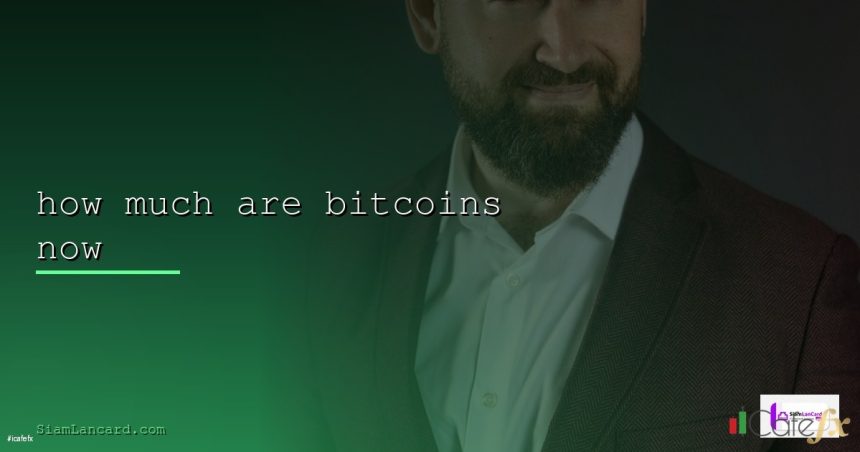 how much are bitcoins now cover