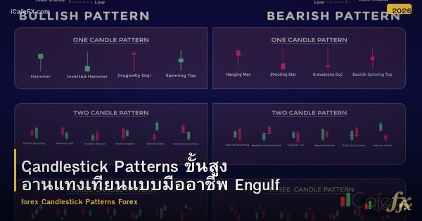 Candlestick Patterns ขั้นสูง อ่านแท่งเทียนแบบมืออาชีพ Engulfing Doji Hammer