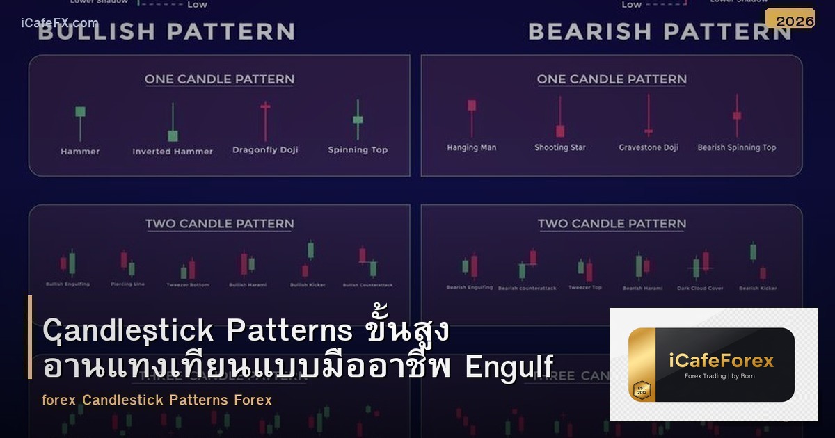 Candlestick Patterns ขั้นสูง อ่านแท่งเทียนแบบมืออาชีพ Engulfing Doji Hammer