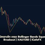 เทรด Bollinger Bands Squeeze Breakout