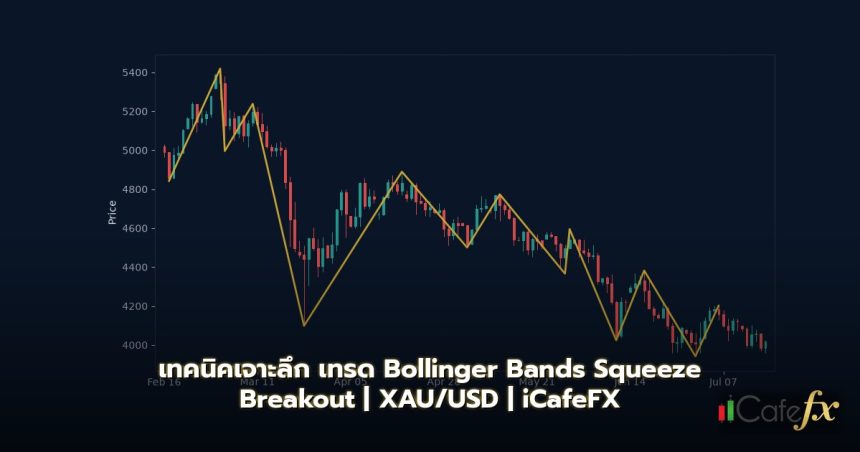 เทรด Bollinger Bands Squeeze Breakout