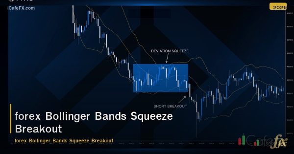 Bollinger Bands Squeeze Breakout