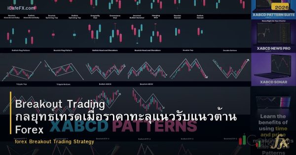 Breakout Trading กลยุทธ์เทรดเมื่อราคาทะลุแนวรับแนวต้าน Forex