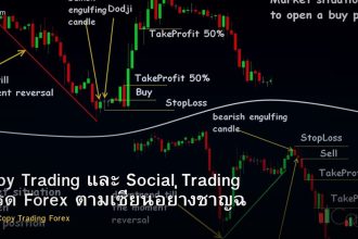 Copy Trading และ Social Trading เทรด Forex ตามเซียนอย่างชาญฉลาด