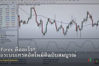 EA Forex คืออะไร? คู่มือระบบเทรดอัตโนมัติฉบับสมบูรณ์
