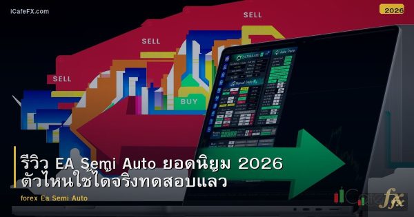 รีวิว EA Semi Auto ยอดนิยม 2026 ตัวไหนใช้ได้จริงทดสอบแล้ว