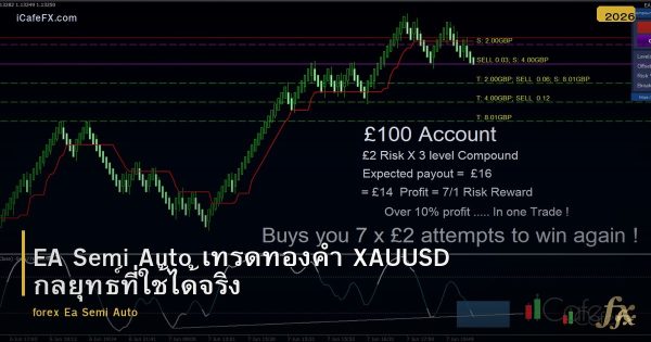 EA Semi Auto เทรดทองคำ XAUUSD กลยุทธ์ที่ใช้ได้จริง