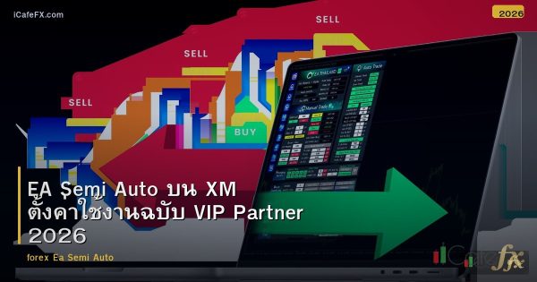 EA Semi Auto บน XM ตั้งค่าใช้งานฉบับ VIP Partner 2026