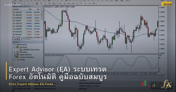 Expert Advisor (EA) ระบบเทรด Forex อัตโนมัติ คู่มือฉบับสมบูรณ์