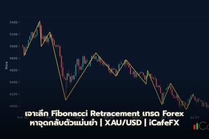 เจาะลึก Fibonacci Retracement เทรด Forex หาจุดกลับตัวแม่นยำ