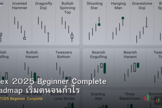Forex 2025 Beginner Complete Roadmap เริ่มต้นจนกำไร