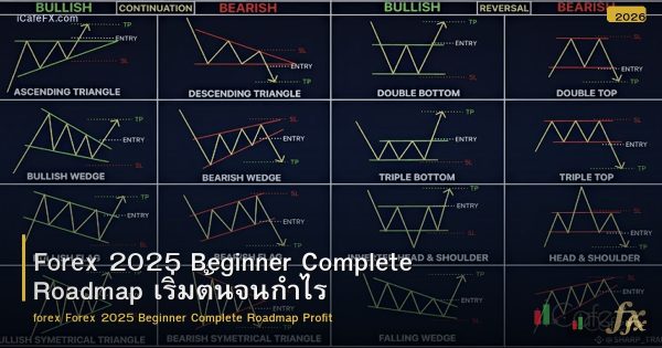 Forex 2025 Beginner Complete Roadmap เริ่มต้นจนกำไร