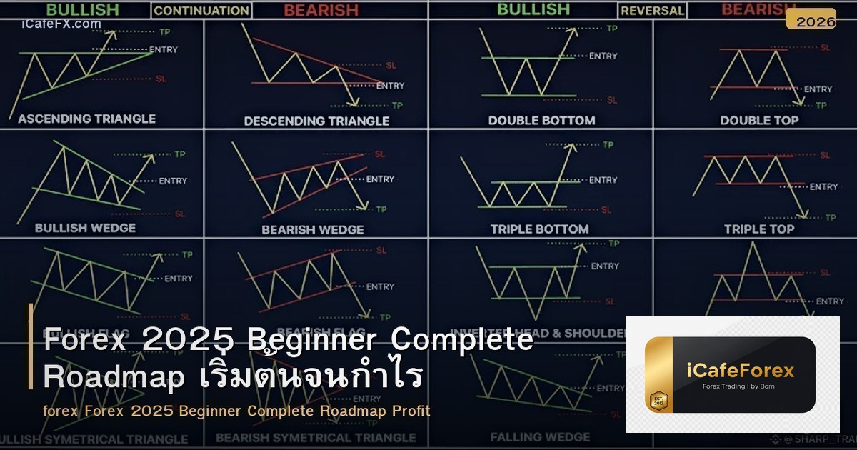Forex 2025 Beginner Complete Roadmap เริ่มต้นจนกำไร