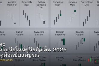 Forex สำหรับมือใหม่คู่มือเริ่มต้น 2026 — คู่มือฉบับสมบูรณ์