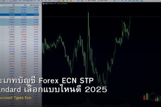 ประเภทบัญชี Forex ECN STP Standard เลือกแบบไหนดี 2025