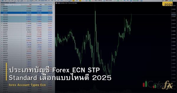 ประเภทบัญชี Forex ECN STP Standard เลือกแบบไหนดี 2025