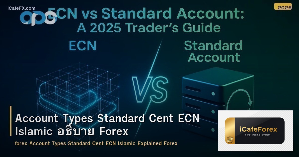Account Types Standard Cent ECN Islamic อธิบาย Forex
