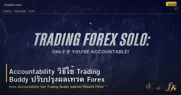 Accountability วิธีใช้ Trading Buddy ปรับปรุงผลเทรด Forex