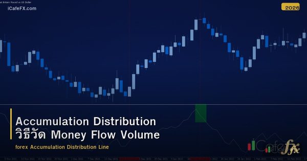 Accumulation Distribution วิธีวัด Money Flow Volume
