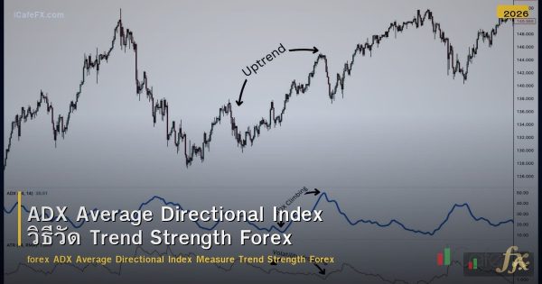 ADX Average Directional Index วิธีวัด Trend Strength Forex