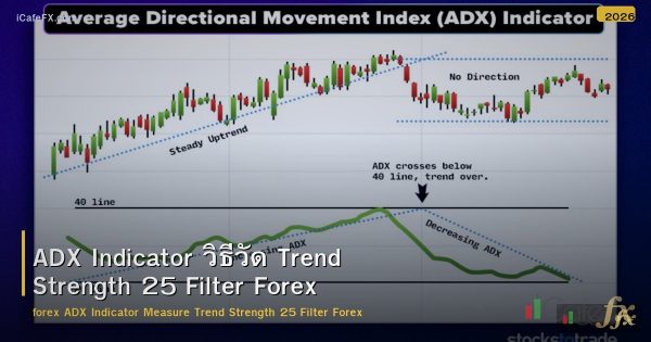 ADX Indicator วิธีวัด Trend Strength 25 Filter Forex
