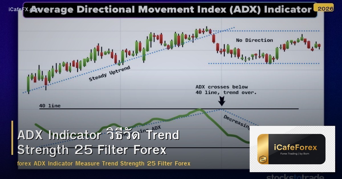 ADX Indicator วิธีวัด Trend Strength 25 Filter Forex