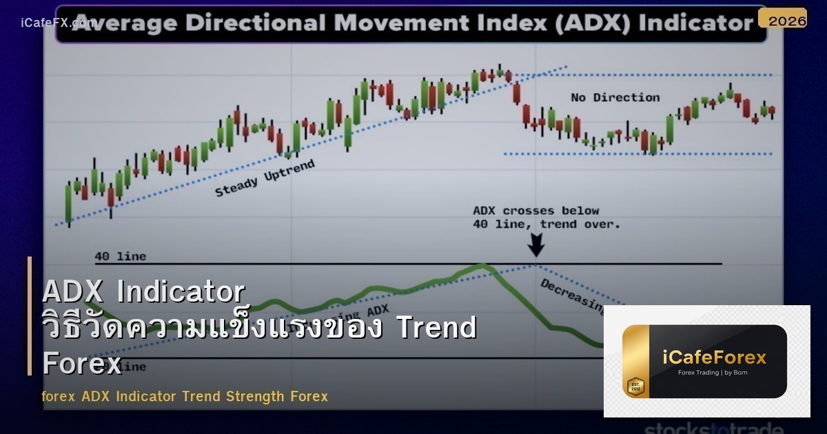 ADX Indicator วิธีวัดความแข็งแรงของ Trend Forex