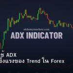 ADX คู่มือใช้ ADX วัดความแข็งแรงของ Trend ใน Forex