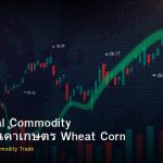 Agricultural Commodity วิธีเทรดสินค้าเกษตร Wheat Corn