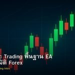 Algorithmic Trading พื้นฐาน EA Bot อัตโนมัติ Forex