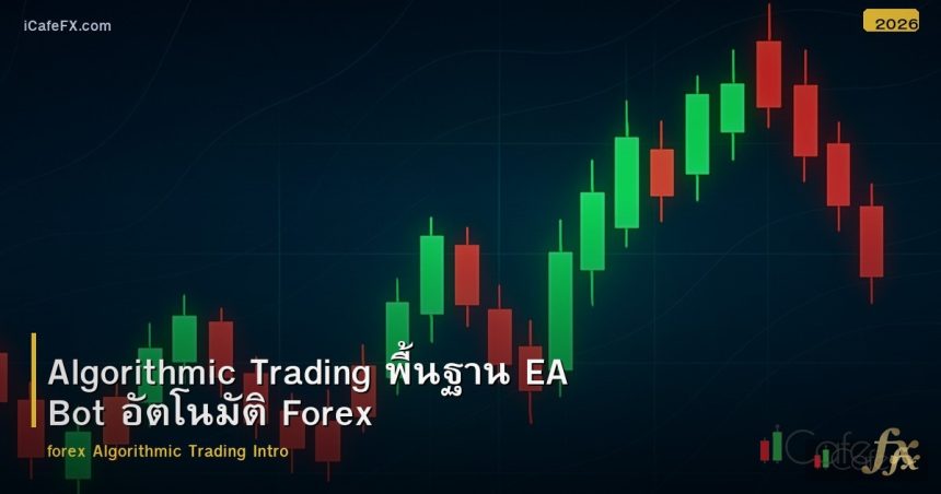 Algorithmic Trading พื้นฐาน EA Bot อัตโนมัติ Forex