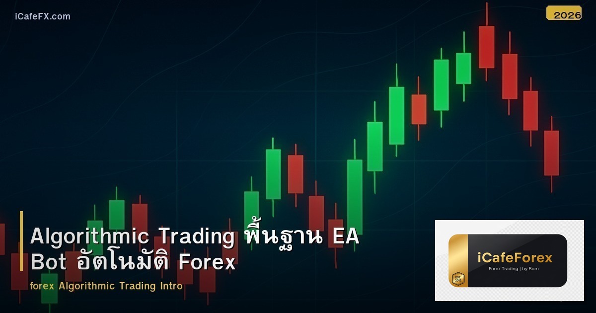 Algorithmic Trading พื้นฐาน EA Bot อัตโนมัติ Forex