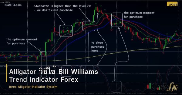Alligator วิธีใช้ Bill Williams Trend Indicator Forex