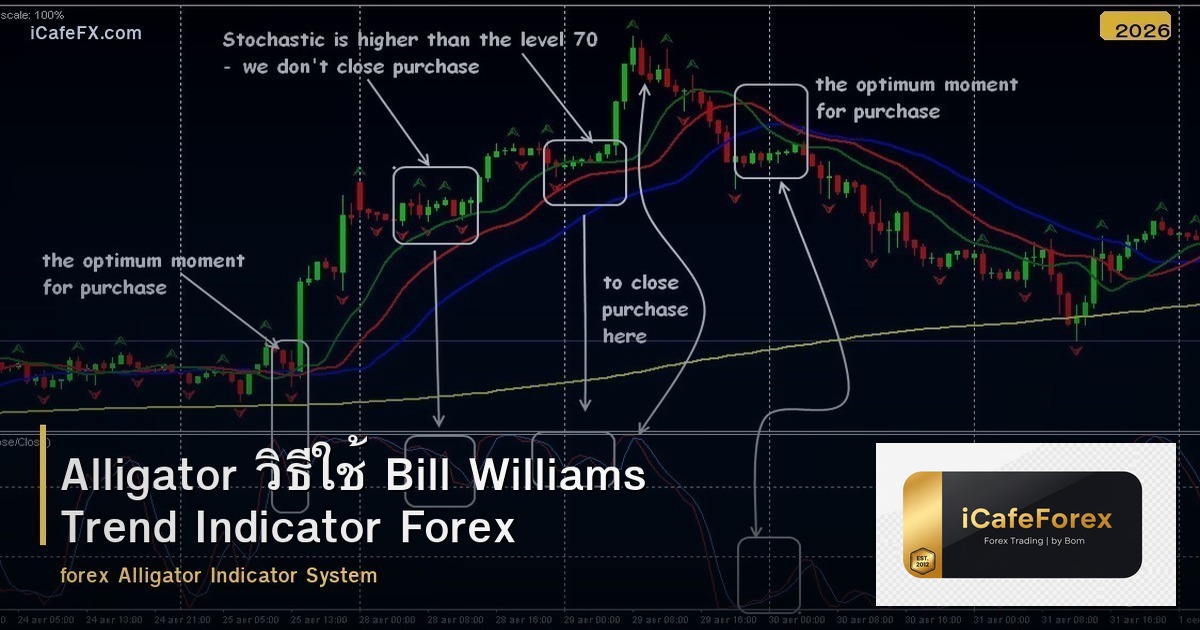 Alligator วิธีใช้ Bill Williams Trend Indicator Forex