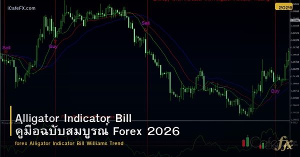 Alligator Indicator Bill คู่มือฉบับสมบูรณ์ Forex 2026