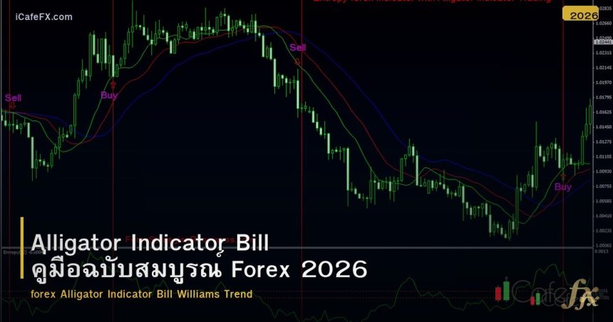 Alligator Indicator Bill คู่มือฉบับสมบูรณ์ Forex 2026