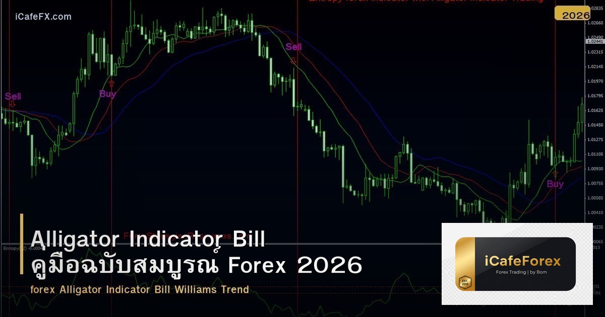 Alligator Indicator Bill คู่มือฉบับสมบูรณ์ Forex 2026
