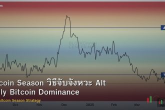 Altcoin Season วิธีจับจังหวะ Alt Rally Bitcoin Dominance
