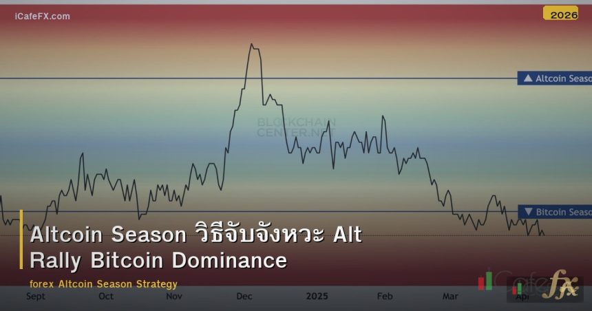 Altcoin Season วิธีจับจังหวะ Alt Rally Bitcoin Dominance