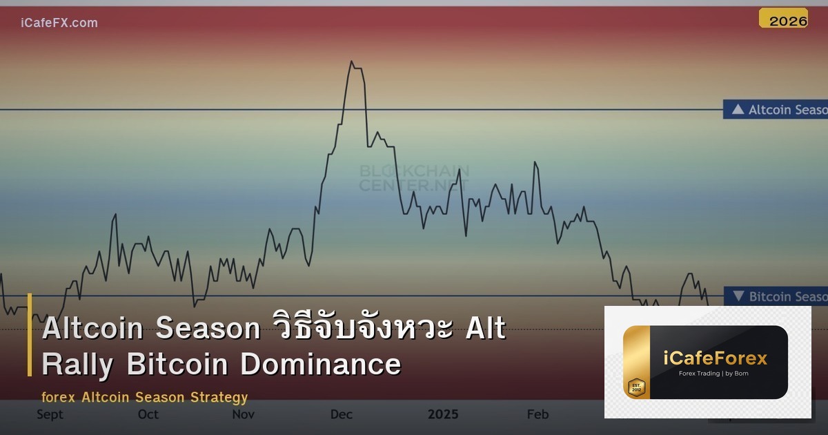 Altcoin Season วิธีจับจังหวะ Alt Rally Bitcoin Dominance